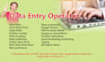 be your data entry operator