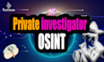 professional osint expert and digital investigator