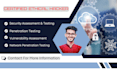 do pentest and vulnerability assessment on your website
