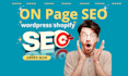 complete on page SEO services on page optimization for ranking 1