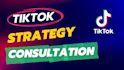 do a tiktok marketing strategy consultation and content plan