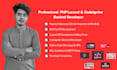 your professional php laravel api, codeigniter backend developer