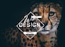 creador de landing page