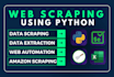 do professional web scraping, data mining and web automation with python