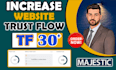 increase your tf 30 plus with high quality backlinks