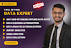 do data entry, data cleaning, data analysis, and data visualization in excel