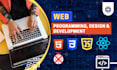 web programmer, build fully responsive website, solve errors