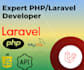 be your full stack, laravel, vuejs developer
