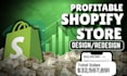 setup 6 figure shopify dropshipping store or profitable shopify website design