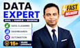do excel data cleaning and excel data analysis and dashboard