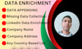 do company data enrichment with information collection
