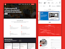 copy clone duplicate premium wordpress website