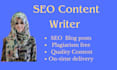 be your SEO blog writer