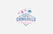 awesome pool care logo design