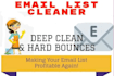deep clean and hard bounce test your email list