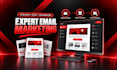 setup professional email campaign with automation in systeme io or mailchimp