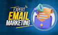 setup professional email campaign with automation in systeme io or mailchimp