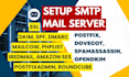 setup or fix bulk mail smtp server postfix mailcow mautic mailwizz dns dkim spf