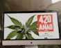 manage a cannabis banner campaign