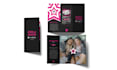 design posters, brochures, magazines, and more, focused on visual communication