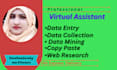 provide virtual assistant for data entry, web research etc