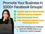 manually promote your business or product in targeted facebook groups