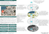 create architecture mapping,concept diagrams and site analysis