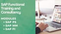 support sap fico and sap IT audit, evaluate data integrity, risk and compliance