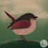 draw animal and pet illustration