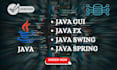 do your java javafx gui swing programming projects