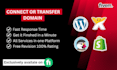connect domain to any website and fix any domain issue