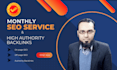 perform monthly SEO service and high authority backlinks
