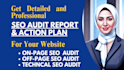 do a complete and professional site audit