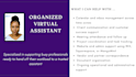 help overwhelmed business owners with expert virtual support