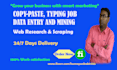 do data entry,copy paste,typing,webscraping and pdf to excel
