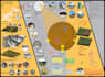 design professional architectural presentation boards design