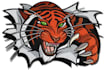 do embroidery digitizing logo into dst, pes, jef files