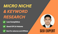 do highly profitable micro niche research with keywords