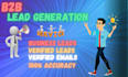 provide linkedin b2b lead generation