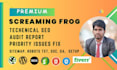 do website technical SEO audit by premium screaming frog