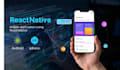 do hybrid app development with react native and flutter