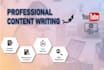 write professional youtube scripts and blog posts