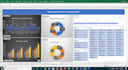do statistical data analysis and visualization in excel