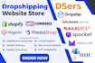 expert dropshipping  website developer