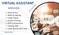 do accurate typing job,  data entry, PDF, t shirt design