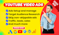 setup and manage youtube video ads campaign