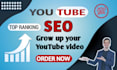 be your youtube channel growth manager and video SEO expert
