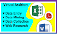 be virtual assistant of data entry, document conversion, etc