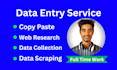 do accurate data entry and copy paste job