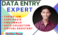 do faster data entry, virtual assistant, find emails, data collection
